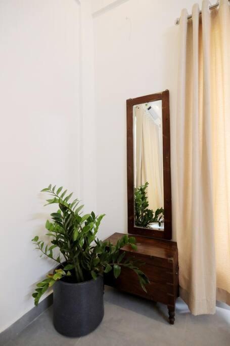 Eazy Homes パルガート エクステリア 写真