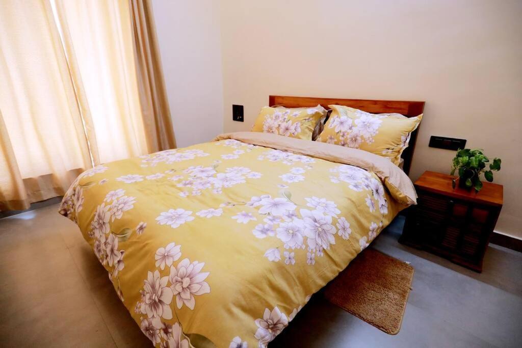 Eazy Homes パルガート エクステリア 写真